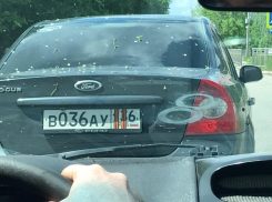 Блатной номер прикрыли георгиевской лентой в Воронеже