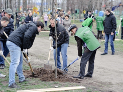 Воронежская мода на субботниках: Гордеев в кепке, Ключников - в петушке (ФОТО)