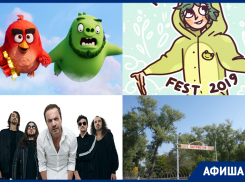 Куда сходить в Воронеже: Animal ДжаZ, Angry Birds, городской пикник и мозгва