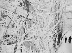 Как долго сибирский антициклон будет морозить Воронеж, рассказал главный метеоролог региона 