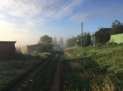 Впечатляющий рост цены за «сотку» земли зафиксировали в Воронежской области 