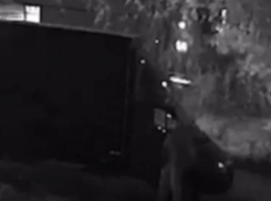 Гневный поступок мужчины попал на видео в Воронеже