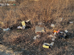 Мусорные «подснежники» возмутили жителей Воронежа