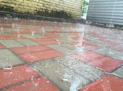 На длинных выходных воронежцев ждет дождь и потепление 