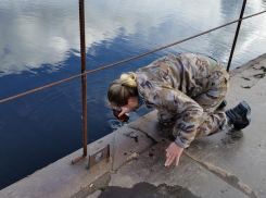 Запрещенный препарат ДДТ нашли в водоемах Воронежского заповедника