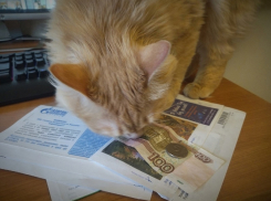 Названа дата следующего повышения тарифов в Воронежской области 