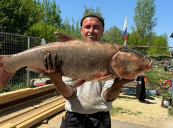 Огромного гиганта поймали под Воронежем
