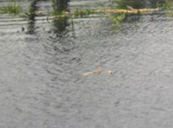 В Воронежской области в реке нашли тело 44-летнего мужчины 