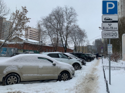 Прокуратура прижала мэрию к стенке за платные парковки в Воронеже 