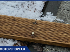 Гвозди программы: как выглядит обновленный бульвар Карла Маркса в Воронеже