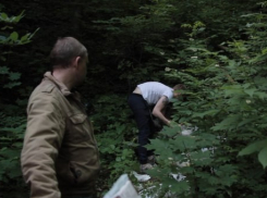 Воронежские следователи рассказали об «ориентировках» на подозреваемых в убийстве Екатерины Череповецкой