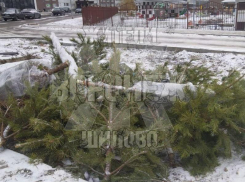 Место, где погибает праздничное настроение, показали на фото в Воронеже