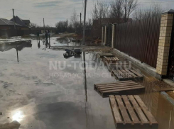 Целую улицу затопило под Воронежем – опубликованы фото