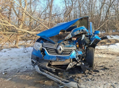 Четверо пострадавших и две машины всмятку: жесткое ДТП в Россошанском районе
