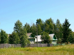 В Воронежской области расследованием убийства супругов займется областное управление Следственного комитета