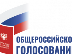 Станет ли голосование по Конституции безопасным в условиях пандемии COVID-19 в Воронеже