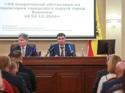 Сергей Петрин поручил сделать дорожную карту по площадкам для их комплексного развития в Воронеже