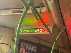 Холод в воронежских маршрутках объяснили чиновники