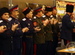 В Воронеже прошел турнир по вольной борьбе на кубок Ермака