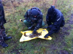 Первые находки российско-венгерской поисковой экспедиции в Воронежской области (ФОТО)