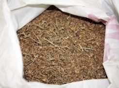 В Северном микрорайоне у воронежца нашли марихуану