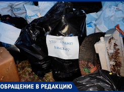 «Это Трамп виноват»: воронежцы оригинально решили подбодрить чиновников