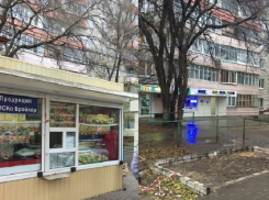 На прошедшей рабочей неделе власти снесли в Воронеже 12 киосков