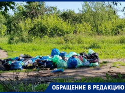  Воронежцев пристыдили грязным состоянием яблоневого сада, за который просят перед Путиным 
