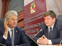 Строительный клан раскололся в выборе председателя гордумы Воронежа