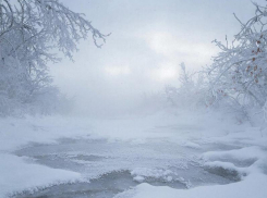 Резкое похолодание в конце новогодних праздников поджидает воронежцев 