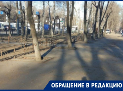 Мусорные последствия опиленных деревьев прокомментировали в мэрии Воронежа 