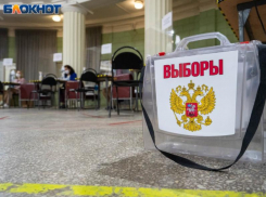 Неожиданный результат показал опрос о поддержке политических партий в Воронеже