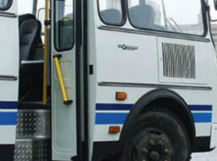 Дачный автобус № 53с начал ездить по Ленинскому проспекту Воронежа в Сомово