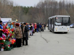 В Воронеже ввели спецмаршруты до городских кладбищ 