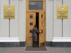 Мэрия Воронежа объяснила свой кредитный голод необязательностью