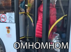 Воронежский автобус схватил бабушку за куртку: видео