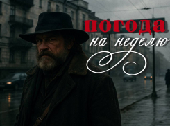 Омерзительная семерка: погода на неделю в Воронеже