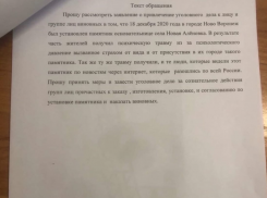 Опубликован документ с жалобой на «психические» травмы из-за нововоронежской Аленки