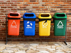 Немцы и АИР разделяют мусор в Воронежской области