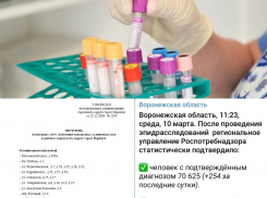 Коронавирус в Воронеже 10 марта: +254 зараженных, 21 смерть и опровержение облздрава 
