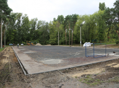 В воронежском парке «Алые паруса» появится баскетбольная площадка по стандартам NBA