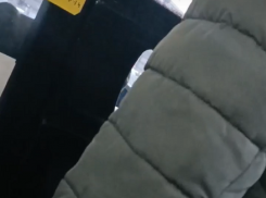 Пассажирка воронежской маршрутки попыталась расплатиться с водителем не деньгами