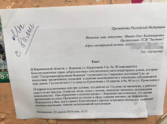 Владимиру Путину пожаловались выживающие без газа воронежцы