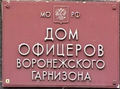 Воронежские власти объявили премии за лучший дизайн  Дома молодежных инициатив