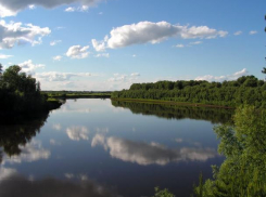 Тело утонувшего на глазах друзей воронежца достали из реки