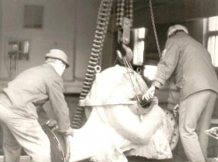 Всемирный день водопровода – 11 марта