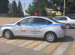 Парковку полицейских на зебре убедительно оправдали под Воронежем