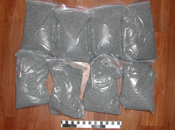 70 кг украинской маковой соломы изъято в Воронеже 