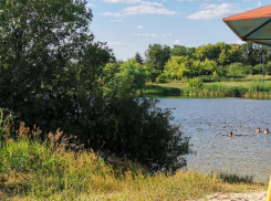 Жарким и солнечным будет окончание рабочей недели в Воронеже