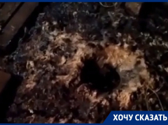 На зловонные страдания обрекла воронежцев труба с нечистотами